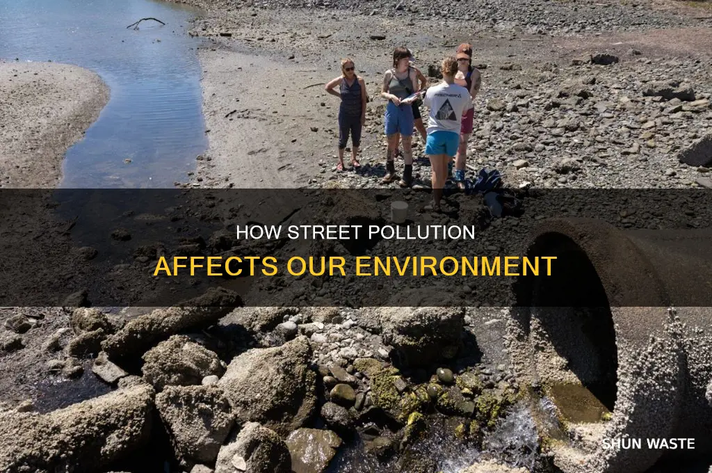 what happens to the pollutions on the streets