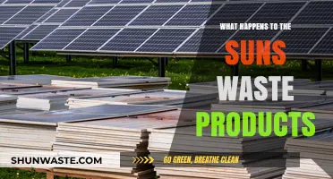 Solar Waste: Unveiling the Sun's Byproducts and Their Cosmic Fate