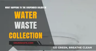 Suspended Solids in Wastewater: Fate, Treatment, and Environmental Impact