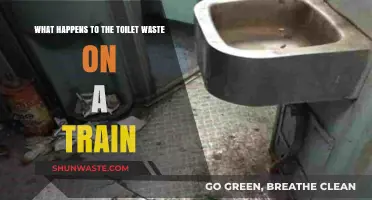 Train Toilet Waste: Where It Goes and How It's Managed