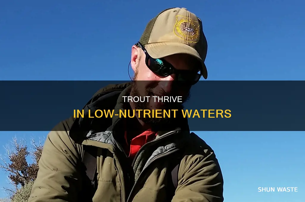 what happens to the trout when nutrient pollution is low
