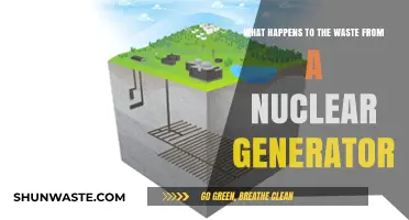 Nuclear Waste Disposal: Unveiling the Fate of Reactor Byproducts