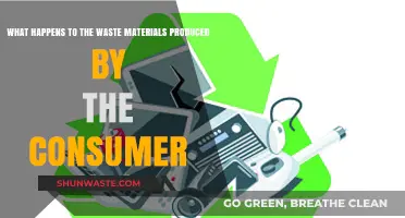 Consumer Waste: Journey from Disposal to Environmental Impact Explained