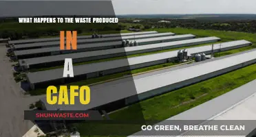 CAFO Waste Disposal: Environmental Impact and Management Challenges Explained