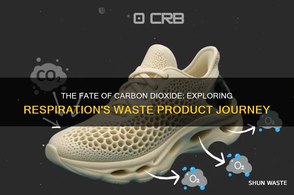 what happens to the waste product of respiration