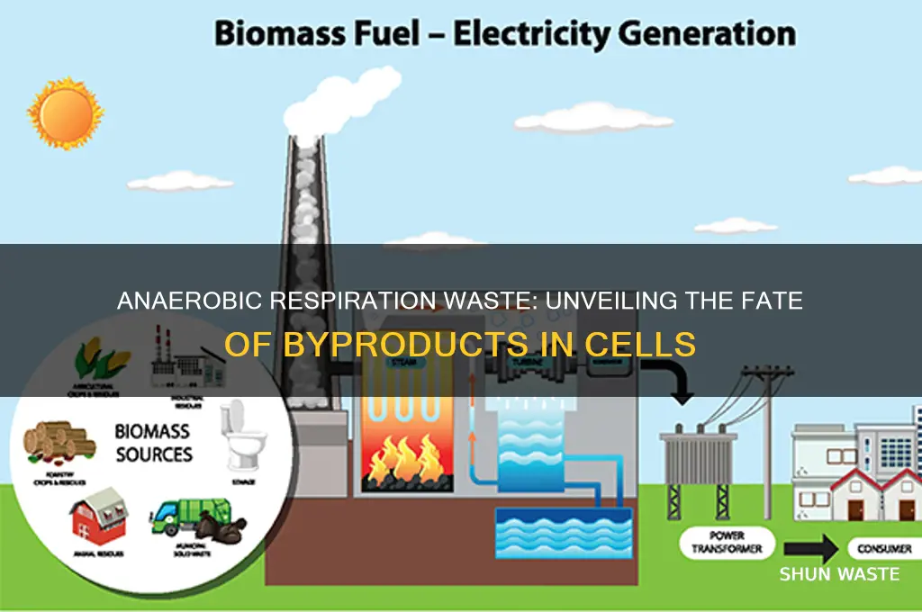 what happens to the waste products of anaerobic respiration