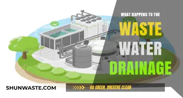 Where Does Wastewater Go? Tracing Drainage Systems and Treatment Processes
