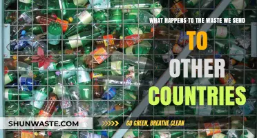 Global Waste Trade: Uncovering the Journey of Our Discarded Exports