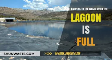 Full Lagoon Crisis: Waste Management Solutions and Environmental Impact Explained