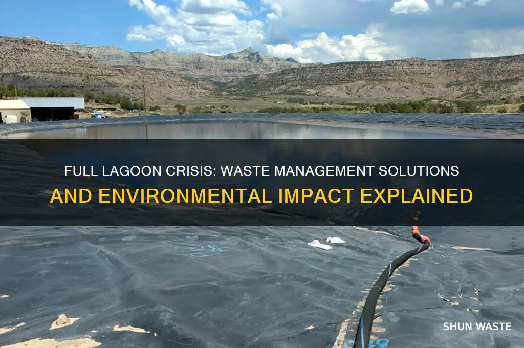 what happens to the waste when the lagoon is full