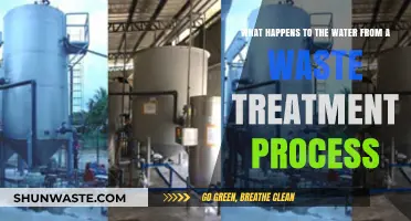 Treated Wastewater's Journey: From Treatment Plants to Ecosystems and Beyond