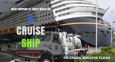 Cruise Ship Waste Management: The Journey of Toilet Waste at Sea