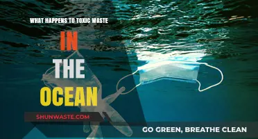 Ocean's Poison: The Devastating Impact of Toxic Waste on Marine Life