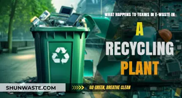E-Waste Recycling: How Toxins Are Handled and Neutralized in Plants