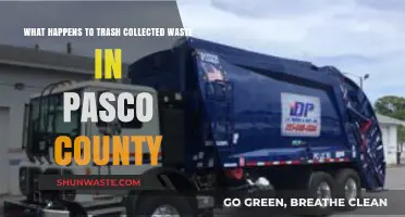 Pasco County's Trash Journey: From Collection to Final Destination