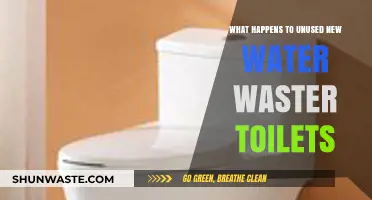 Unused New Water-Efficient Toilets: Fate, Environmental Impact, and Solutions
