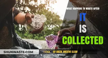 From Curbside to Beyond: The Journey of Waste After Collection