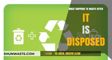 From Trash to Transformation: The Journey of Waste After Disposal
