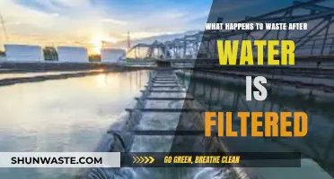 From Filter to Disposal: The Journey of Waste After Water Filtration
