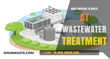Wastewater Treatment Process: How Waste is Transformed and Managed