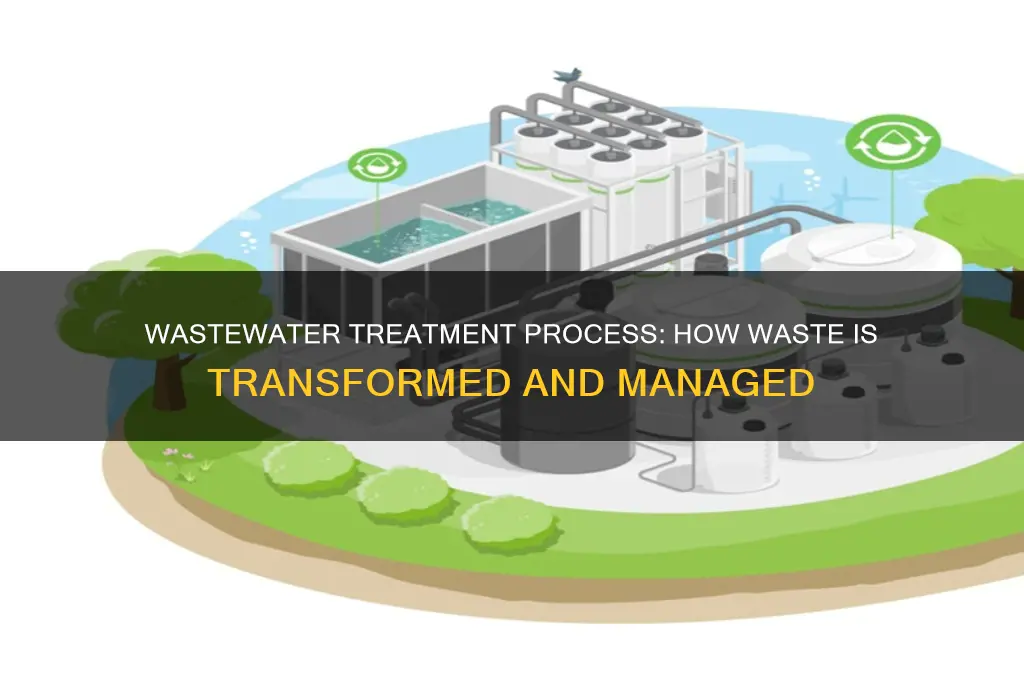 what happens to waste at wastewater treatment