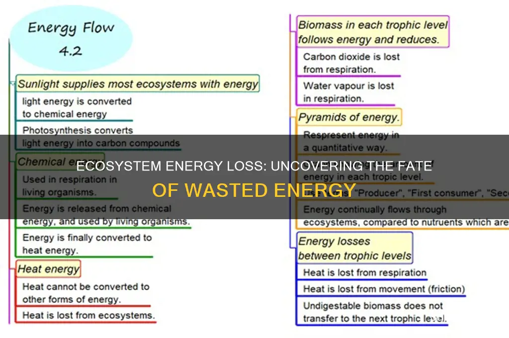 what happens to waste energy in an ecosystem