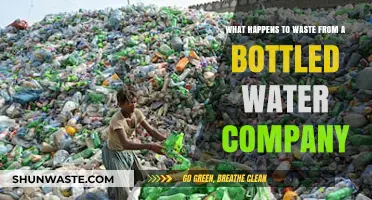 Bottled Water Waste: Environmental Impact and Recycling Challenges Explained