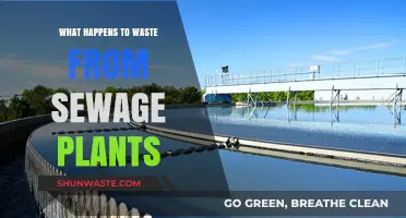 Sewage Plant Waste: Treatment, Disposal, and Environmental Impact Explained