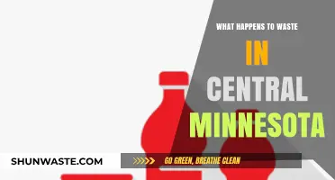 Central Minnesota's Waste Journey: Disposal, Recycling, and Environmental Impact