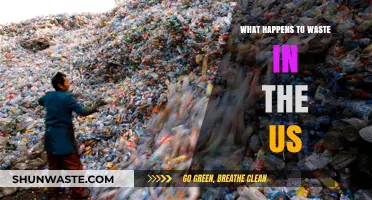 Where Does US Waste Go? A Journey Beyond the Trash Can