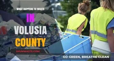Volusia County's Waste Journey: From Collection to Sustainable Solutions