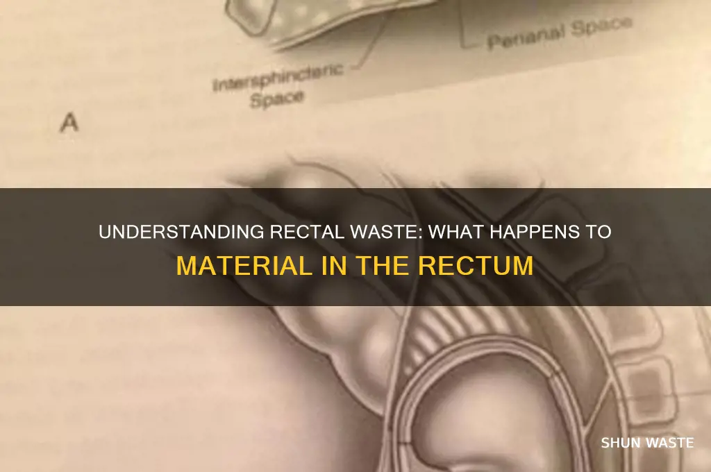 what happens to waste material in the rectum