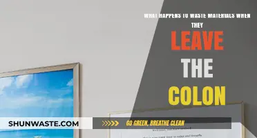 Waste's Journey Beyond the Colon: Understanding Post-Colonic Processing