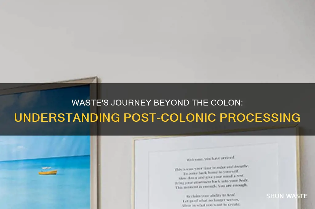 what happens to waste materials when they leave the colon