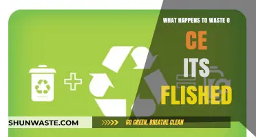 From Trash to Transformation: The Journey of Waste After Disposal