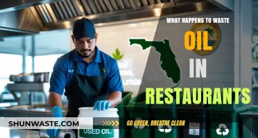 Restaurant Waste Oil Disposal: Environmental Impact and Sustainable Solutions