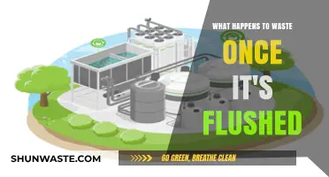 From Flush to Finish: The Journey of Waste After Flushing