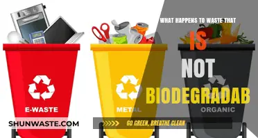 Non-Biodegradable Waste: Environmental Impact and Long-Term Consequences Explained