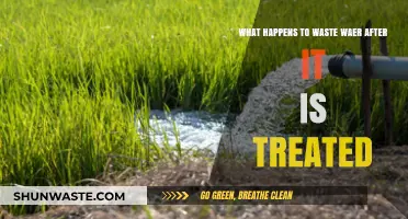 Treated Wastewater's Journey: From Treatment Plants to Environmental Reuse