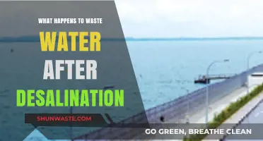 Desalination's Aftermath: Tracing Wastewater's Journey and Environmental Impact