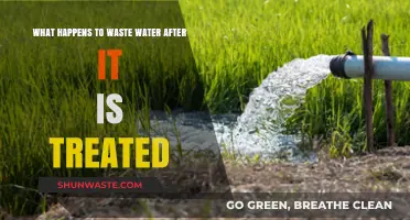 Treated Wastewater's Journey: From Treatment Plants to Safe Reuse