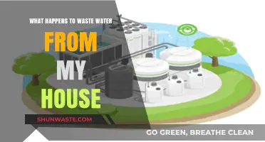 Where Does It Go? Tracing Your Home's Wastewater Journey