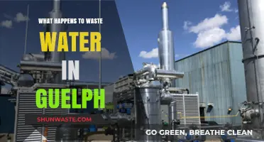 Guelph's Wastewater Journey: Treatment, Sustainability, and Environmental Impact Explained