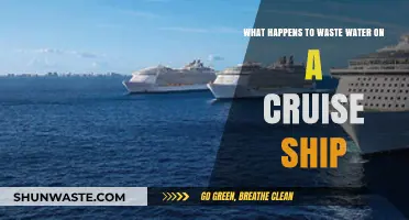 Cruise Ship Wastewater: Treatment, Disposal, and Environmental Impact Explained