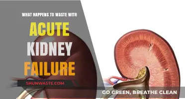 Acute Kidney Failure: Waste Management and Its Impact on the Body