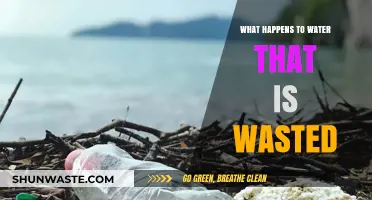 Wasted Water's Journey: Environmental Impact and Conservation Solutions Explored