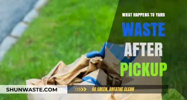 From Curb to Compost: The Journey of Yard Waste After Pickup