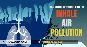 Air Pollution: How It Harms Your Body