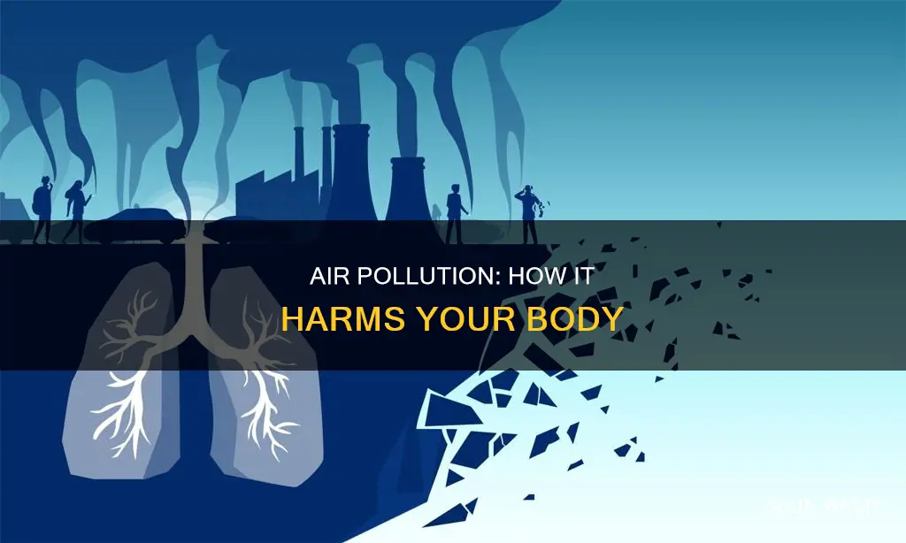 what happens to your body while you inhale air pollution