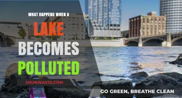 The Dark Side of Polluted Lakes